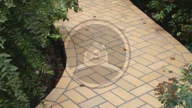 , trotuarnaya_plitka, zheltyy_pestryy, landshaftnyy_dizayn