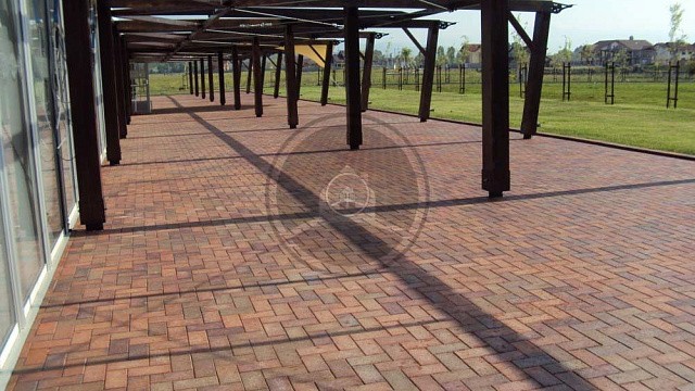 , trotuarnaya_plitka, krasnyy_pyestryy, landshaftnyy_dizayn