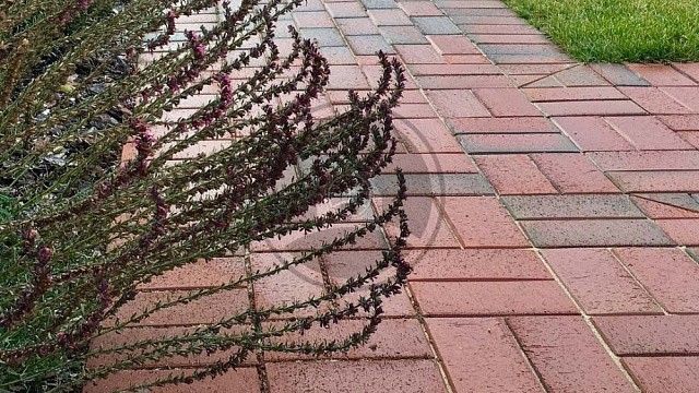 , trotuarnaya_plitka, krasnyy_pyestryy, landshaftnyy_dizayn