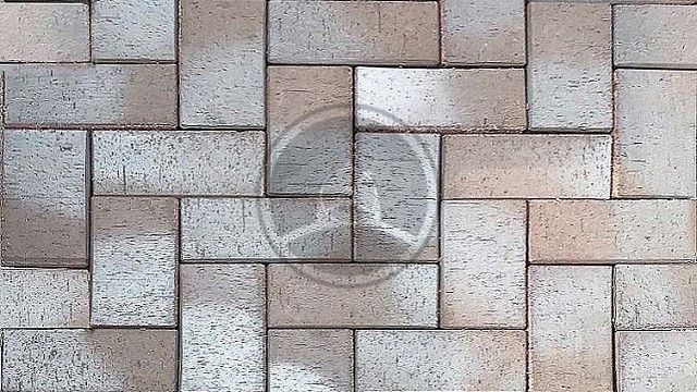 , trotuarnaya_plitka, sero_belyy, landshaftnyy_dizayn