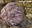 Валун Мрамор розовый, 100-200 мм