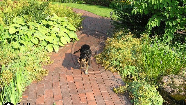 , trotuarnaya_plitka, krasnyy_pyestryy, landshaftnyy_dizayn