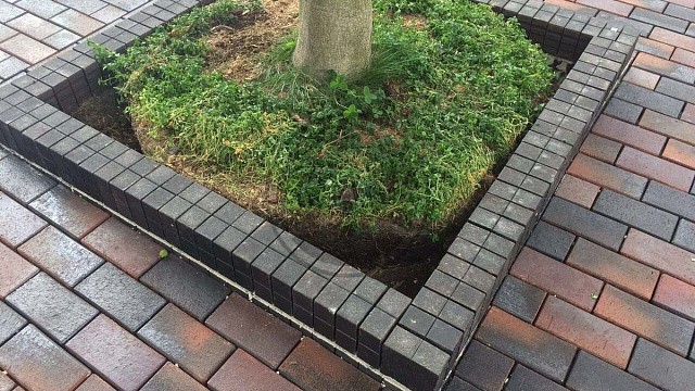 , trotuarnaya_plitka, krasnyy_miks, landshaftnyy_dizayn