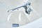 Biodevice ECO+ 4