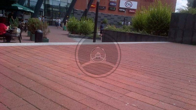 , trotuarnaya_plitka, krasnyy_pyestryy, landshaftnyy_dizayn