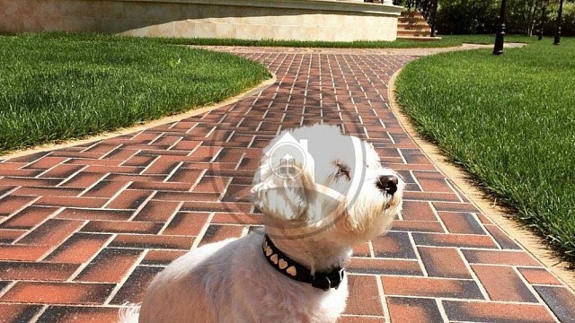 , trotuarnaya_plitka, krasnyy_miks, landshaftnyy_dizayn