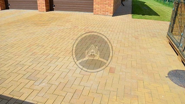 , trotuarnaya_plitka, zheltyy_pestryy, landshaftnyy_dizayn