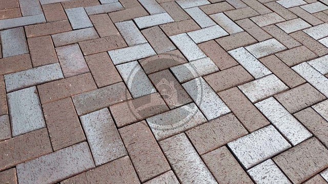 , trotuarnaya_plitka, sero_belyy, landshaftnyy_dizayn